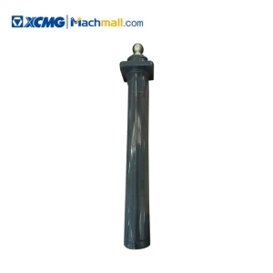 XCMG Crane Spare Parts Fifth Leg Cylinder *134701949