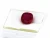 Import 11.75 CT Natural Red Ruby from Portugal