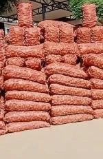 Premium Quality Fresh Pakistan Potatoes