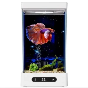Smart Eco Desktop Office Mini Landscape Fish Tank Mini Portable Fish Tank Aquarium and Accessories DINGJU Aquarium Fish
