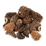 Morchella mushrooms