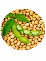 Soybeans