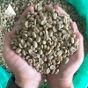 Arabica Dampit Green Bean Coffee