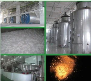 Glucose / Dextrose Production Line – Crystalline & Syrup