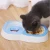 Import Pet food utensils feeding bowl cat bowl prints eco-friendly dog bowl 2 in 1 portable multifunctional pet feeder bowl from China