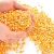 Import Yellow Maize/Corn, Non-GMO, Fit for Human Consumption and Animal Feed from Germany