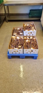Frozen Raw King Crab Clusters Wild Caught Norwegian Crab