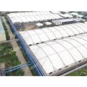 Chemical Sewage Pool Canopy Membrane Structure Project