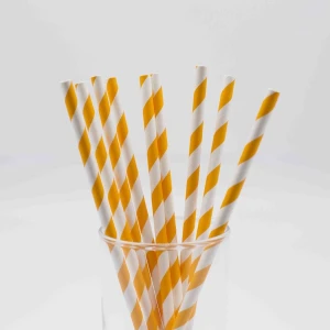 Orange Striped Paper Drinking Straws
