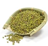 Green Beans