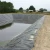 Import 100%virgin HDPE geomembrane 1mm 2mm pond liner from China