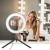 Import 10&quot; 26 cm Video Live photography photo led desktop Ring Light With Tripod Stand phone Holder from China