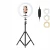 Import 12 Inch Beauty LED Ring Light Selfie Makeup Live Youtuber  Studio Photography Fill Flash Led Light with Tripod from China
