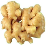 150g+ ginger ,fresh ,packed in mesh bags ,plastic cartons ,cb cartons