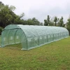 15x3x2m giant greenhouse agriculture