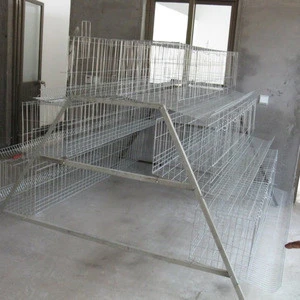 20 years lifetime chicken cage egg chicken laying cage with auto water system
