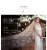 Import 2020 High Quality Handmade Bling Bling Shinny Net Cut-Edge One-Layer 3m Long Soft Tulle Wedding Bridal Veil from China