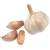 Import 2020 New crop fresh white garlic vegetables and fresh white garlic from Pakistan