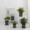 2020 Popular Indoor plastic pot,garden pot, showroom flower pot