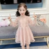 2021 Chinese Style Long Sleeve Embroidered Mesh Floral Dresses For Girls Princess