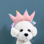2021 New Pink Crown Colorful Wool Ball Pet Hair Ornaments Accessories para perros cat dog Apparel Hat Stuffed