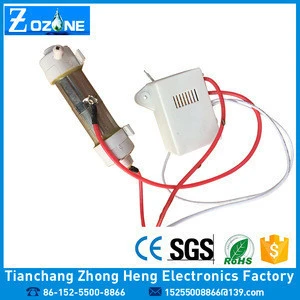220V/110V Hot Sale And Cheap Price Ozone Generator Spare Parts For Air Purifier