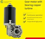 24v reversible turbine speed regulation 12v large torque slow micro motor Low speed DC reducer motor