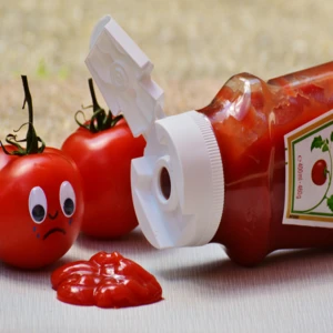 320g Hot Selling USA Market Tomato Ketchup Brand