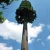 35m/20m/60m Self supporting galvanized amouflaged bionic artifical tree wifi antennas mast communication tower