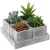 Import 4 Artificial Succulent Plants In Rustic Wood Planter Pots With 8-inch Tray from China