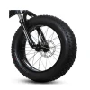48V 500W 20 Inch   Foldable  Bicycle intelligent  with 10Ah Hidden Battery In The Framefat tire  foldable electric bicycle