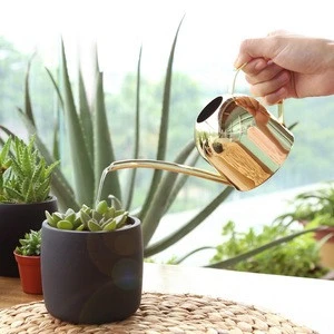 500ml Mini  Household Stainless Steel Semicircular Watering Can High Quality Long Spout  Watering Can Metal Gold Watering Can