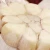 Import 62454874300 1/6  New Crop Garlic Chinese fresh garlic pure white garlic price from South Africa
