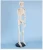 Import 85cm Skeleton Orthopedics Biology Demonstration Model  Human Skeleton Model for Medical Teaching from China