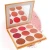 Import 9 Colors Cheek Blush Cosmetic Waterproof Pressed Makeupblusher from China
