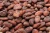 Import A Grade Quality Dried Cocoa Beans from South Africa