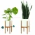 Import Adjustable Bamboo Wooden Plant Stand from China