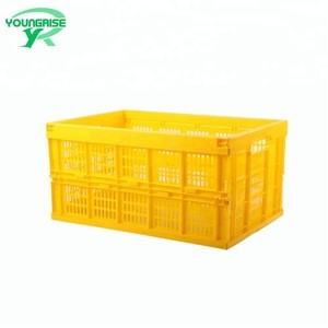 adjustable mesh style fruit foldable plastic storage box,Collapsible Plastic Vegetable Crate