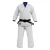 Import Adult Martial Art Judo Karate Uniforms from Pakistan