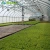 Import Agricultural Plastic Film Greenhouses Prices from China from China