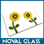 All Designs of Glass Cutting board,Glass Cheese Board