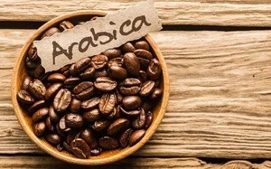 Arabica Coffee Beans Arabica Roasted Coffee Beans Product of Thailand PhuKha Coffee The Finest Arabica