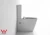 Import Australia toilet ce dual flush valve floor mount back wall outlet washdown rimless toilet with sink from China
