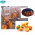 Import Auto feed Orange Juicer, orange juice extractor from China