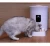 Import Automatic Pet Feeder Food Dispenser for Dogs, Cats &amp; Small Animals automatic cat feeder dog feeder from China