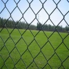 Best price PVC coated chain link fence and gates from China