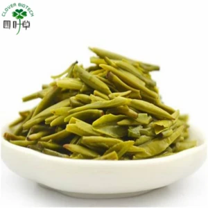 best selling products of fresh Green Tea Extract 98% EGCG