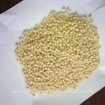 Biodegradable Plastic Raw Material PBAT Granules raw compostable masterbatch