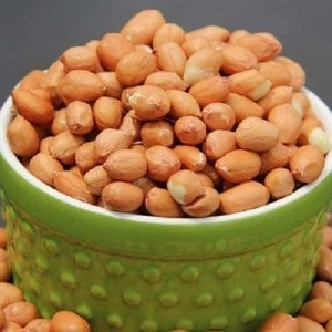 Bold Peanuts Size 60/70 - Organic Peanuts