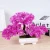 Import Bonsai tree plant artificial plant with vase artificial pine tree from China
